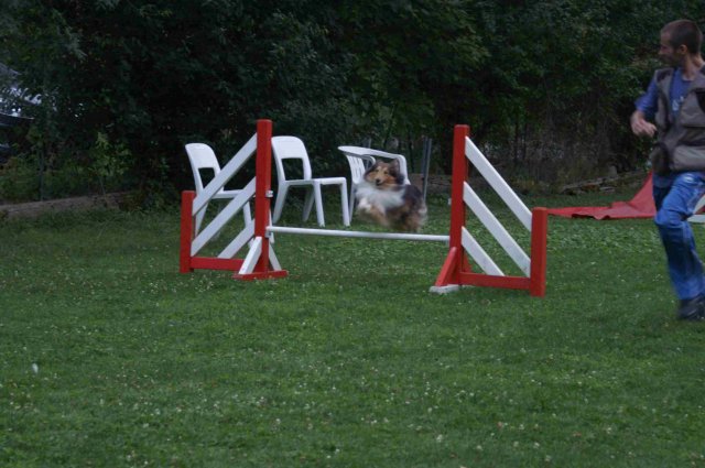 agility 2011-09